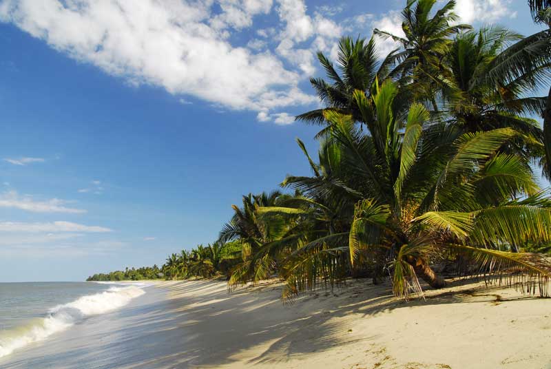 The Tides Lodge - Ushongo Beach